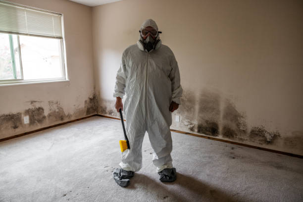 Best Attic Mold Remediation in Chattahoochee Hills, GA